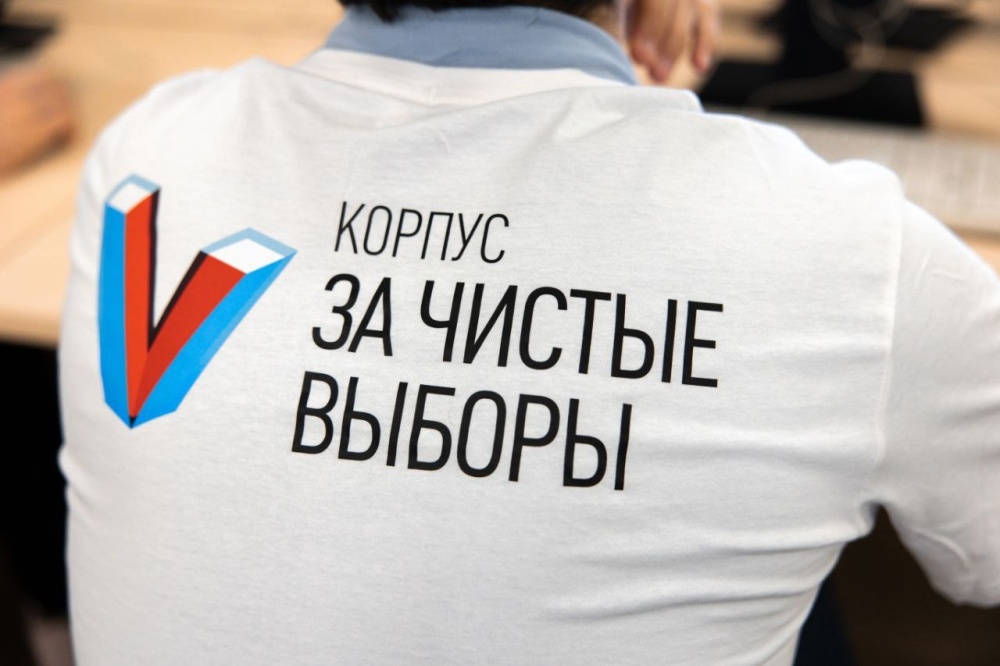 Донские наблюдатели приняли участие в межрегиональном онлайн-семинаре в рамках подготовки к Всероссийскому конгрессу наблюдателей