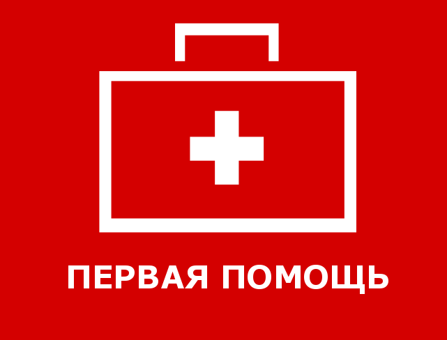 «Первая помощь: От Мала до Велика»