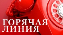 Общественная палата Ростовской области открывает информационно-справочную «Горячую линию»