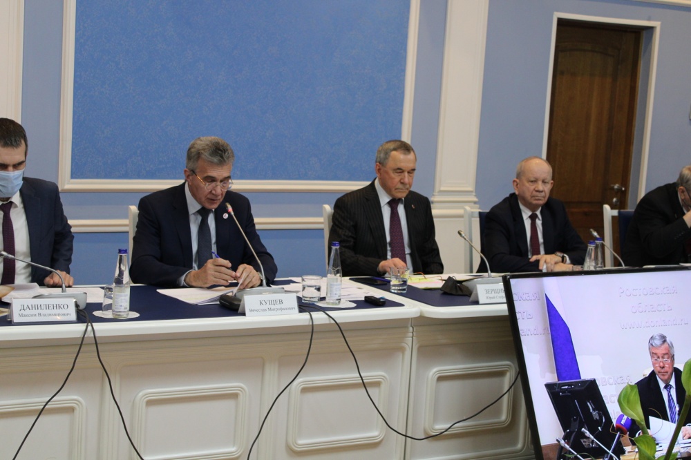 Встреча Губернатора Ростовской области с членами Совета Общественной палаты 