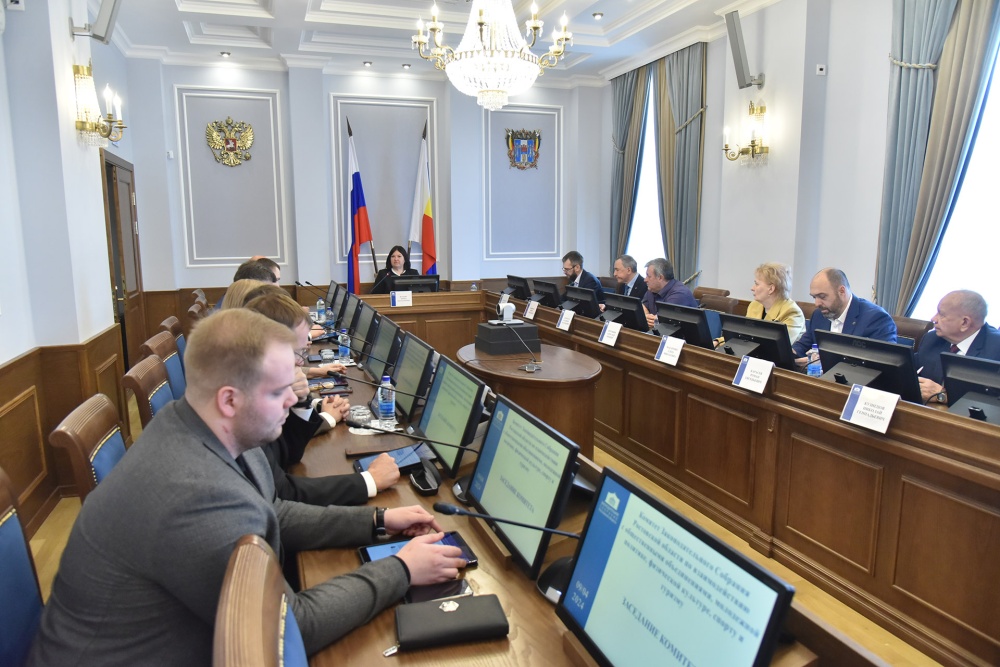 На заседании комитета ЗС РО обсудили доклад о деятельности Общественной палаты Ростовской области в 2023 г.
