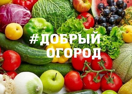 Победители регионального этапа Всероссийской волонтёрской акции #Добрый огород – осень 2023 