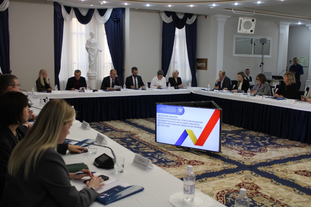 Члены Общественной палаты Ростовской области приняли участие в формировании Стратегии развития некоммерческого сектора Дона