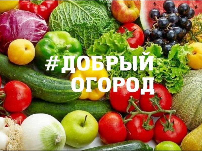 Ростовская область – территория добрых садоводов и огородников 