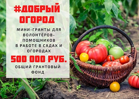 Третий этап Всероссийской агроволонтёрской акции #Добрый огород