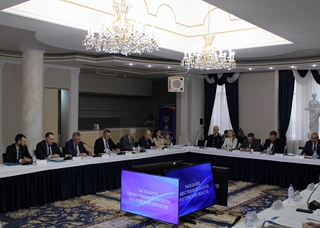 Представителем Общественной палаты Ростовской области в состав Общественной палаты России избрана Канская Кристина Леонидовна!