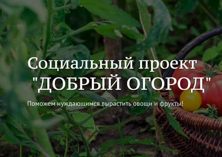 Добрый огород-2023: есть рекорд!