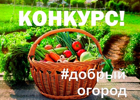 ДОБРЫЙ ОГОРОД