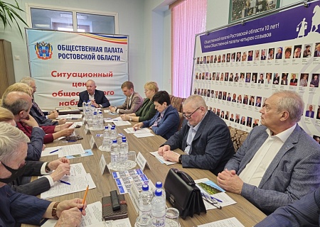 Вопросы повышения эффективности общественных советов и палат на повестке дня совместного заседания общественного совета при Правительстве Ростовской области и комиссии Общественной палаты 