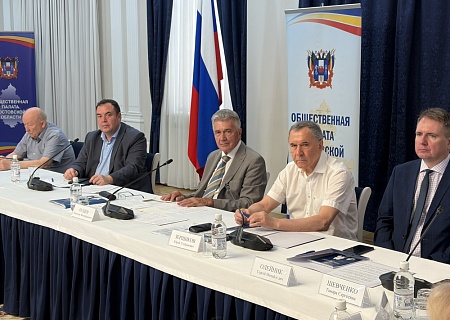 Александр Брод высоко оценил подготовку общественных наблюдателей в Ростовской области