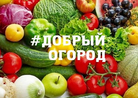 Ростовская область – территория добрых садоводов и огородников 